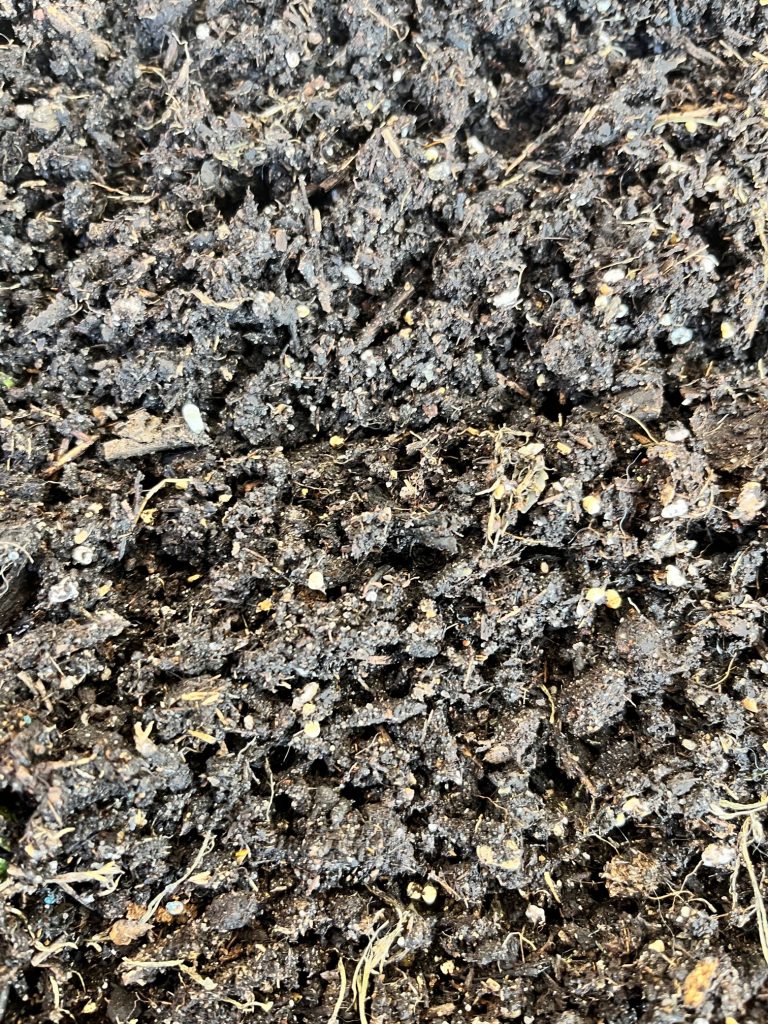 Feldsalat - Boden